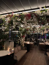 STK Rooftop Steakhouse & Bar