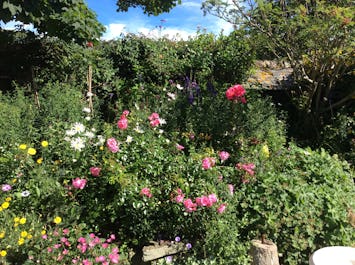 Rectory Farm Tea Rooms