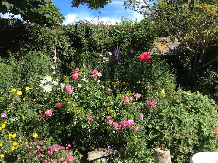 Rectory Farm Tea Rooms