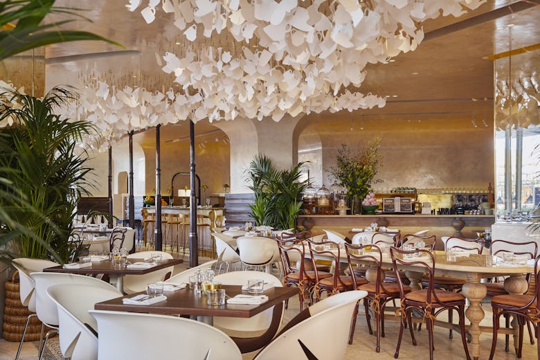Tashas