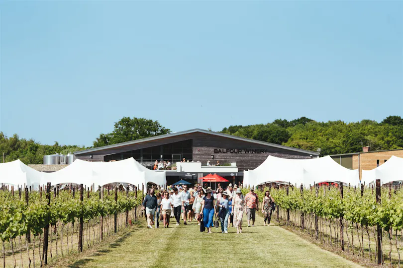 Winemakers