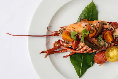 The True Food Kitchen Ventnor