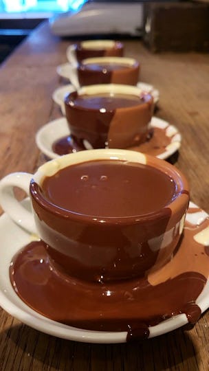 Italian Bear Chocolate