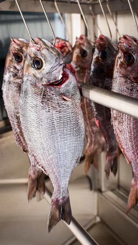 Catch at The Old Fish Market