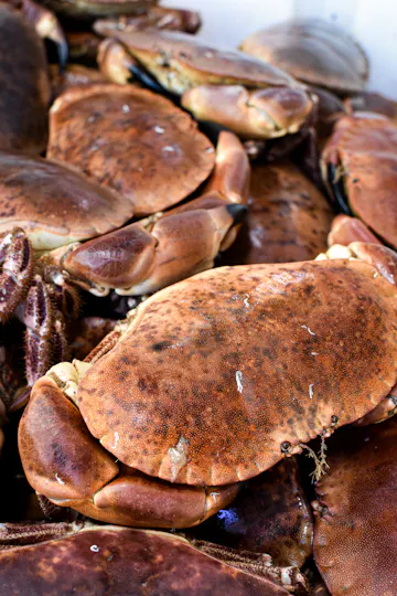Catch at The Old Fish Market