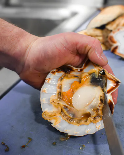 Catch at The Old Fish Market