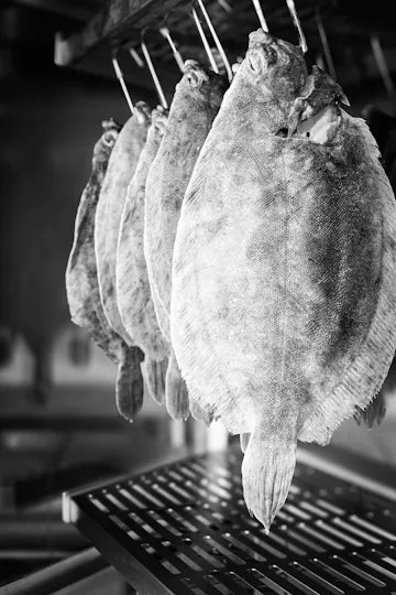 Catch at The Old Fish Market