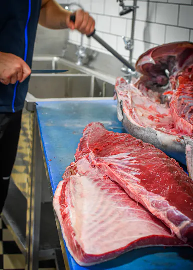 Catch at The Old Fish Market