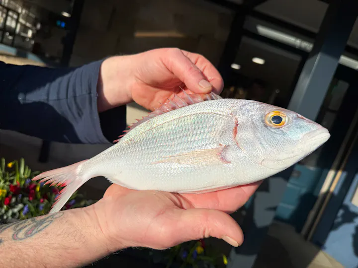 Catch at The Old Fish Market