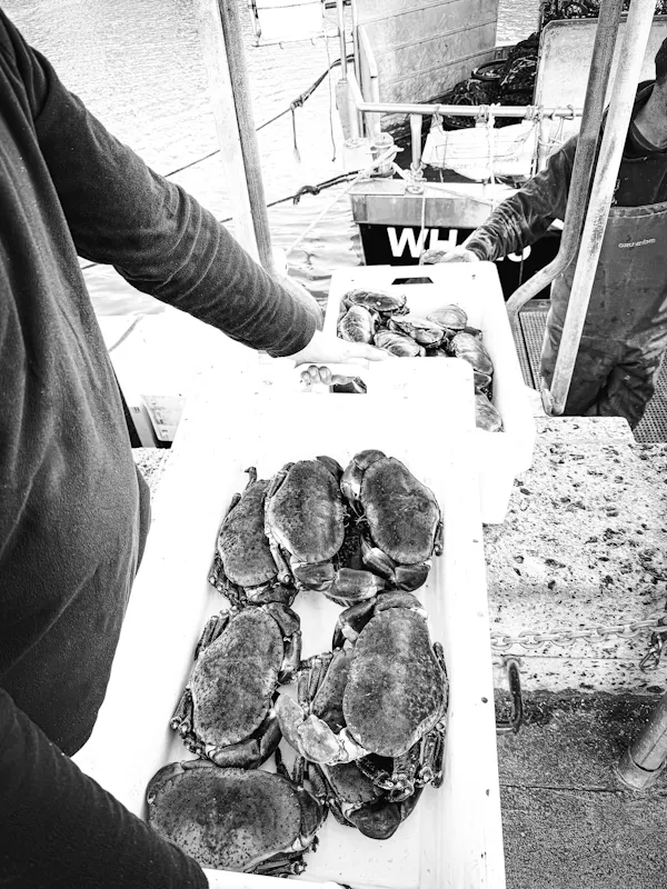 Catch at The Old Fish Market