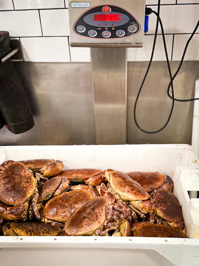 Catch at The Old Fish Market