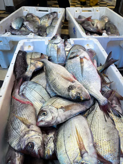 Catch at The Old Fish Market
