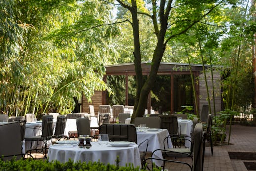 Pollini at Ladbroke Hall