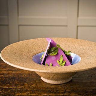 Vetch