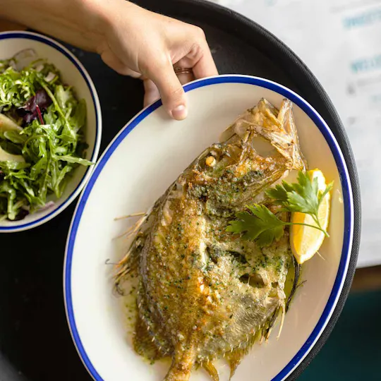 Rockfish Plymouth
