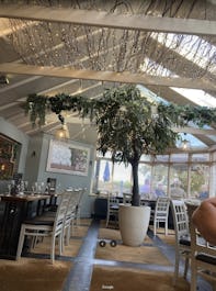 The Owl at Lichfield