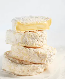 The Cheese Yard