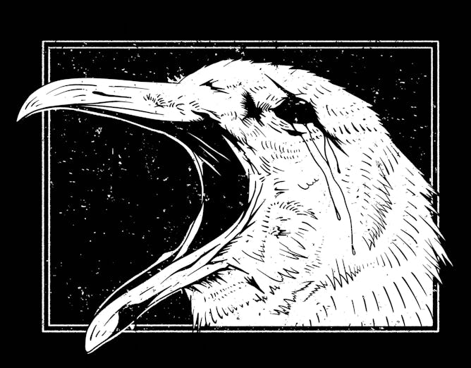 Albatross Death Cult