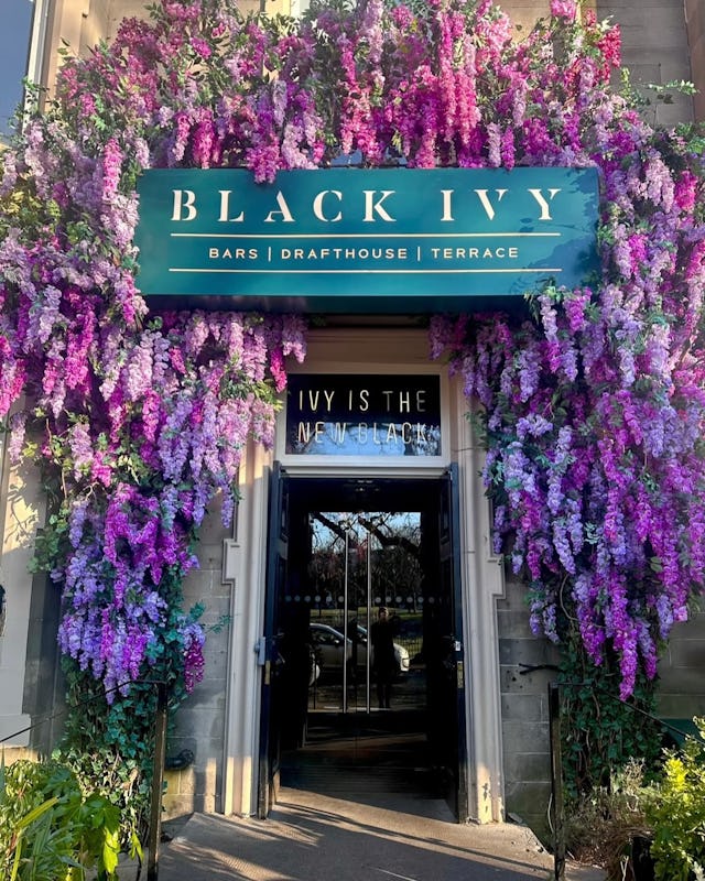 Black Ivy 
