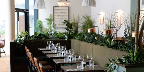 Bobo Social Ealing