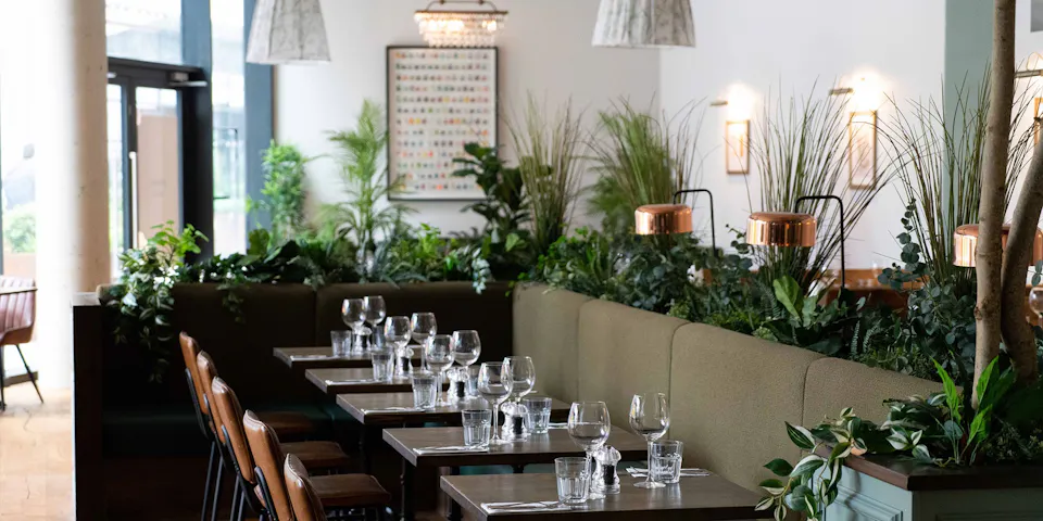 Bobo Social Ealing