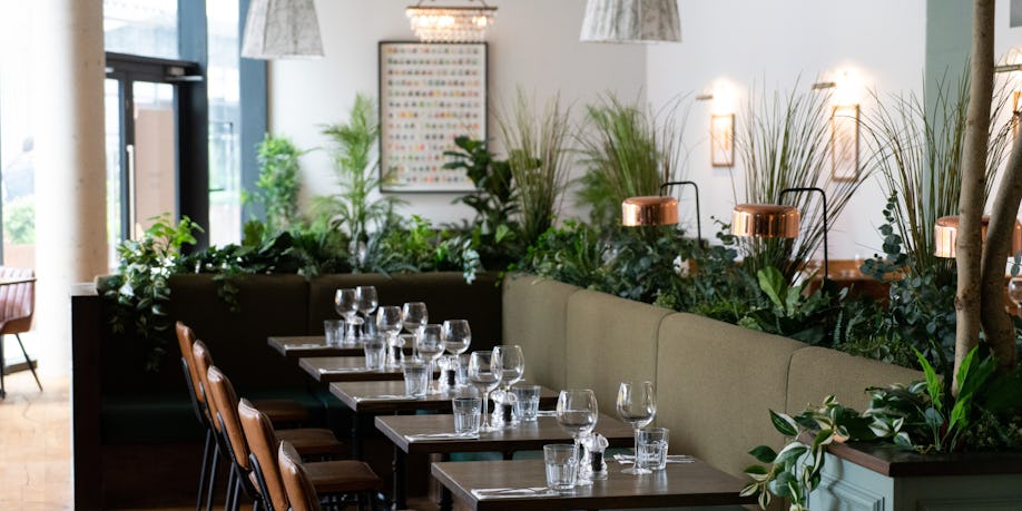 Bobo Social Ealing