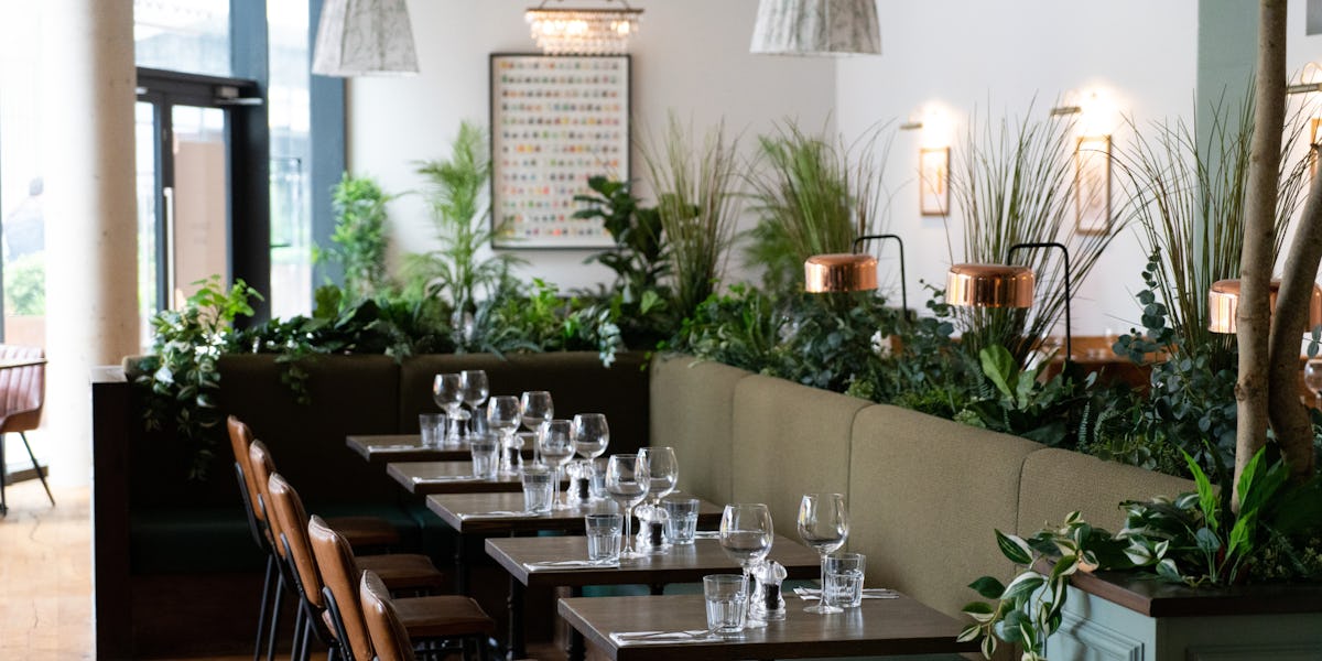 Bobo Social Ealing