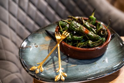 TERRA Restaurant