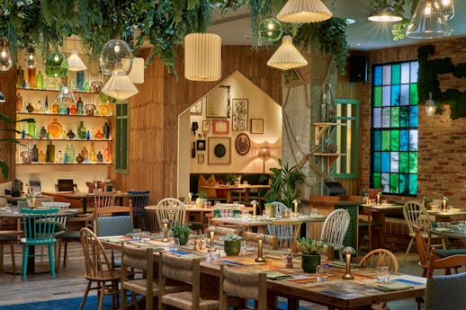 Pip at Treehouse Hotel