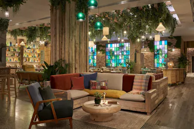 Pip at Treehouse Hotel