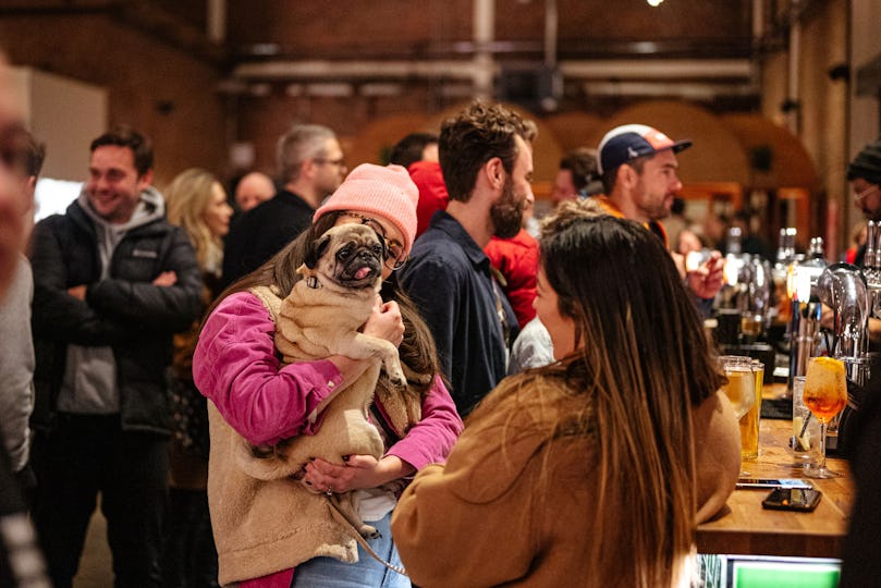 Big Penny Social
