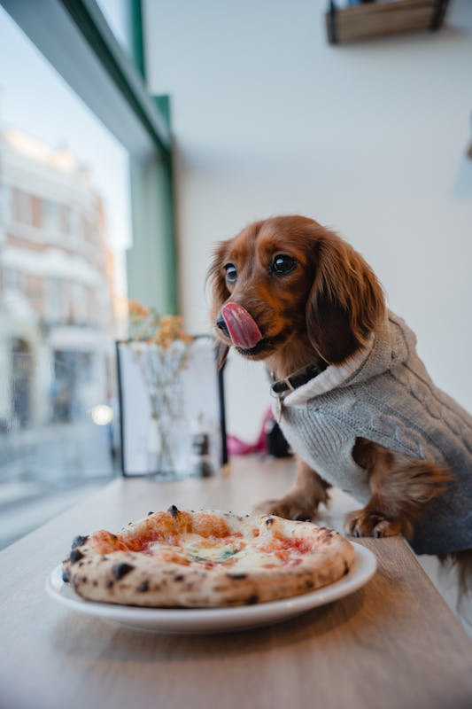 Base Face Pizza Putney