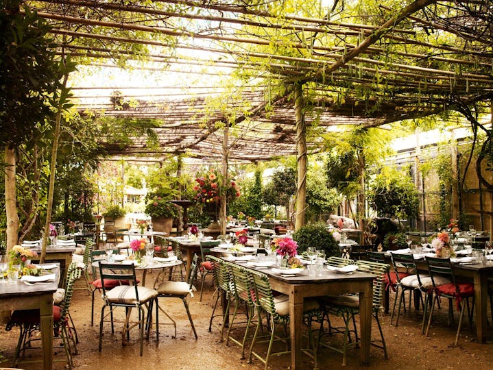 Afternoon Tea at Petersham Nurseries Richmond
