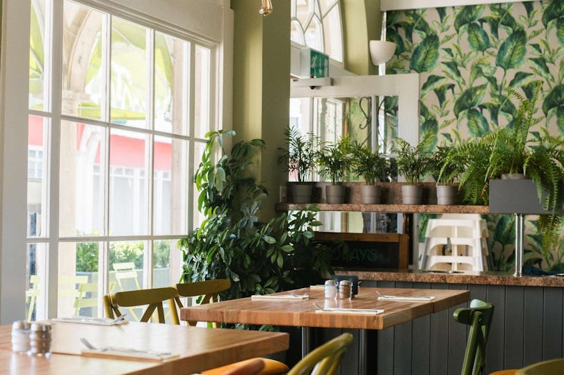 The Veg Box Cafe Marylebone