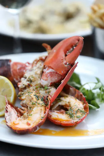 Loch Fyne York