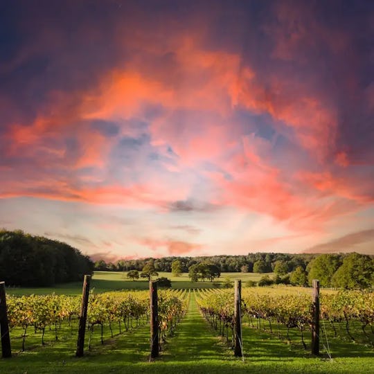 Wine & Pairings at Quob Park Estate, Hotel & Spa
