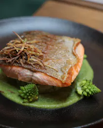 Saga Kitchen & Cellar