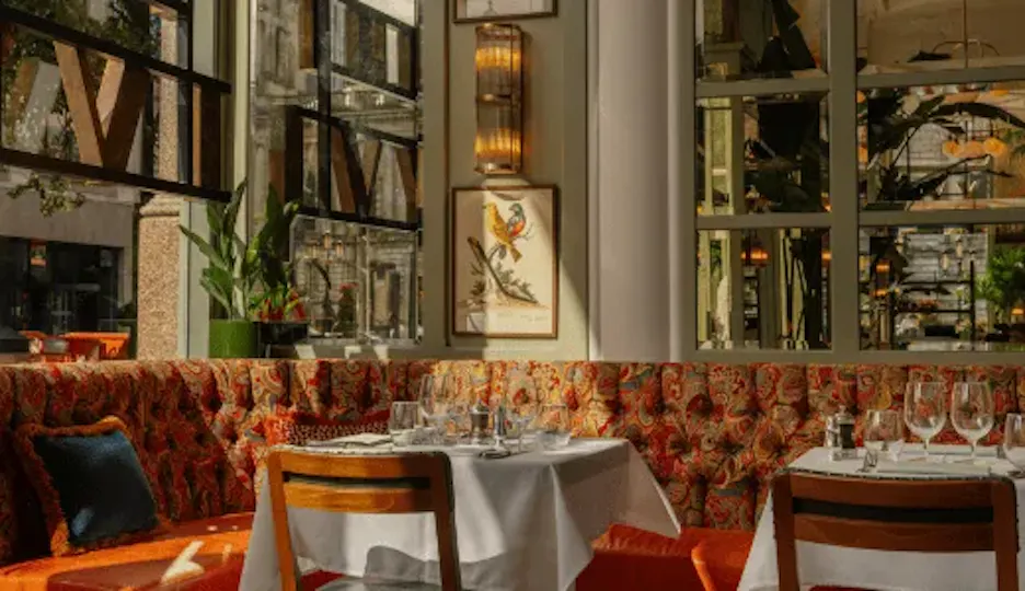 The Ivy Brasserie, Belfast