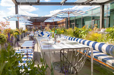 Skylark Roof Garden