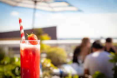 Skylark Roof Garden