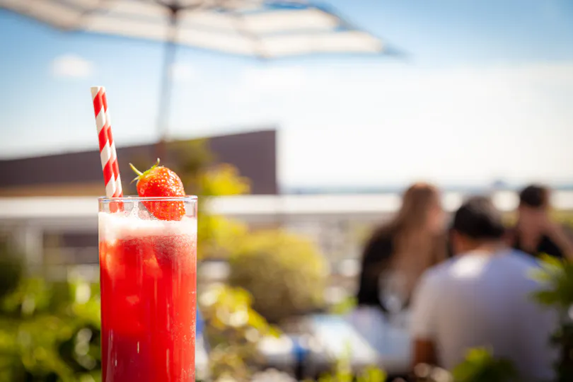 Skylark Roof Garden