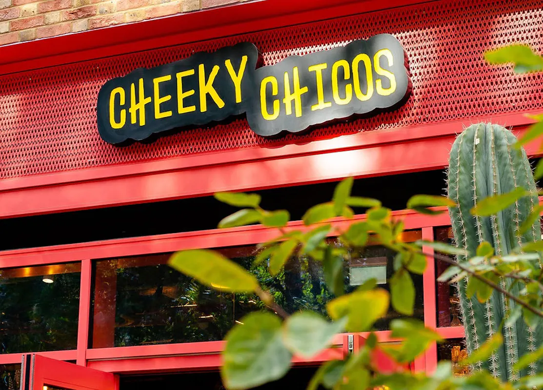Cheeky Chicos Elephant Park