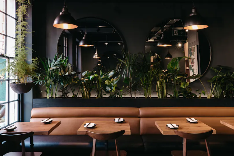 OITA - Soho