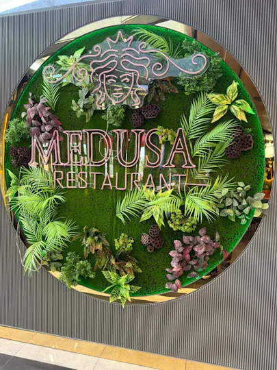 Medusa