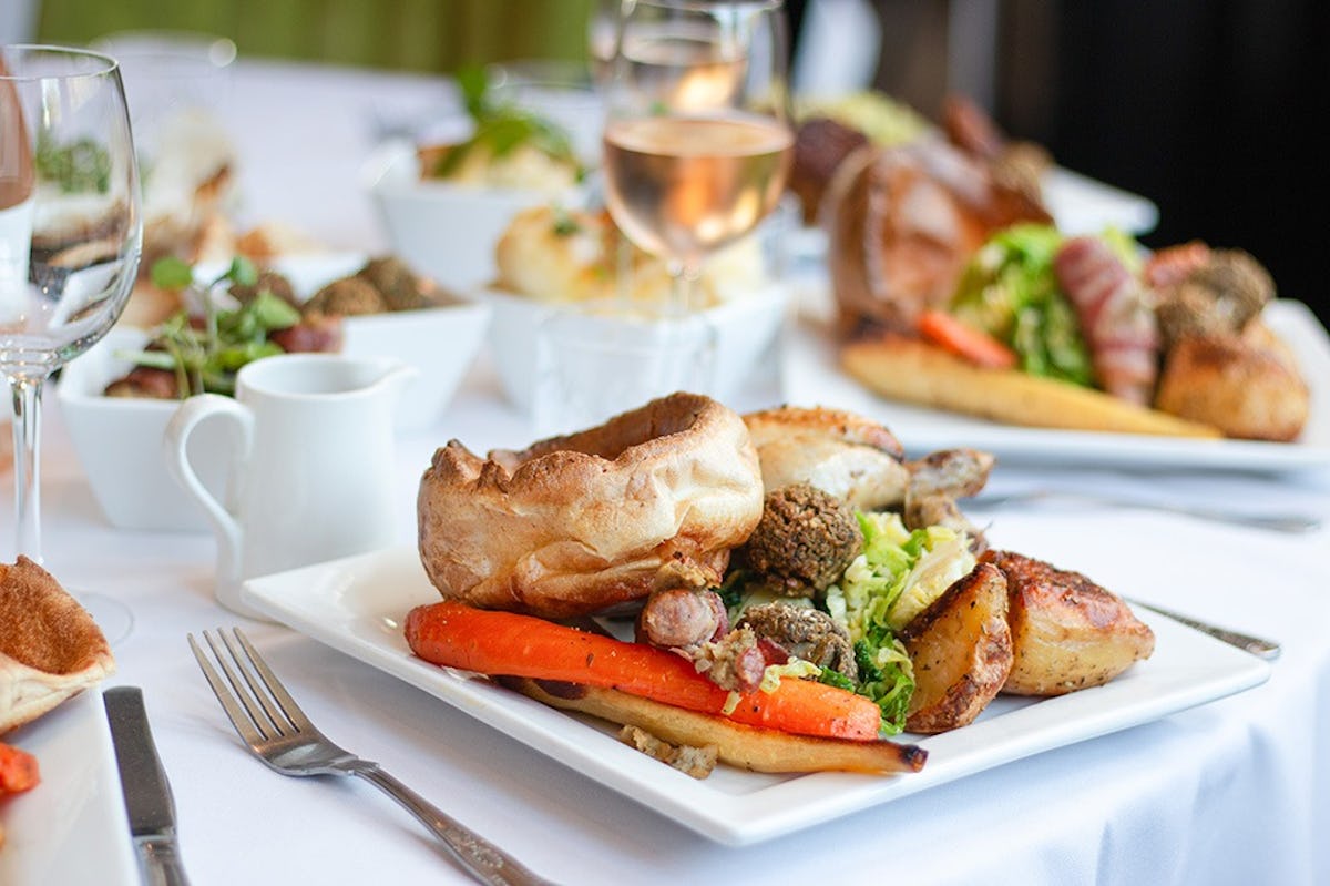 Spaghetti Tree - Shirley