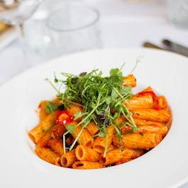 Spaghetti Tree - Shirley