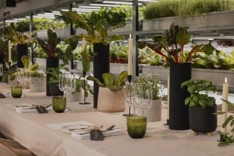 The Orangery TCR