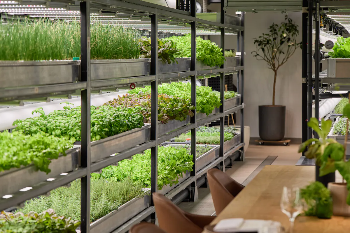 The Orangery TCR