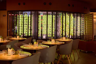 The Orangery TCR