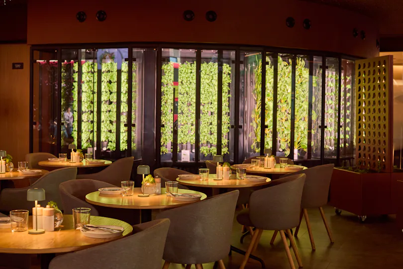 The Orangery TCR